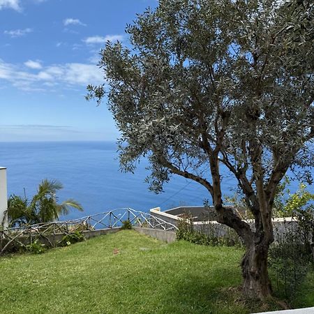 הוילה קלייטה Cozy Sea View House Faja Da Ovelha מראה חיצוני תמונה