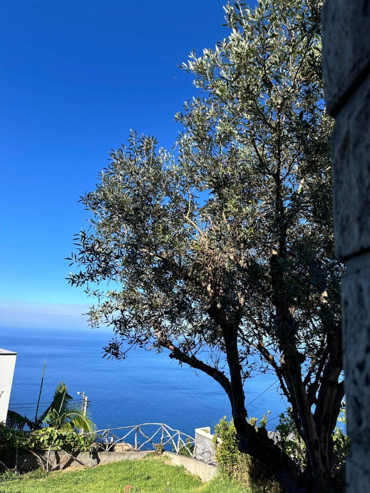 הוילה קלייטה Cozy Sea View House Faja Da Ovelha מראה חיצוני תמונה